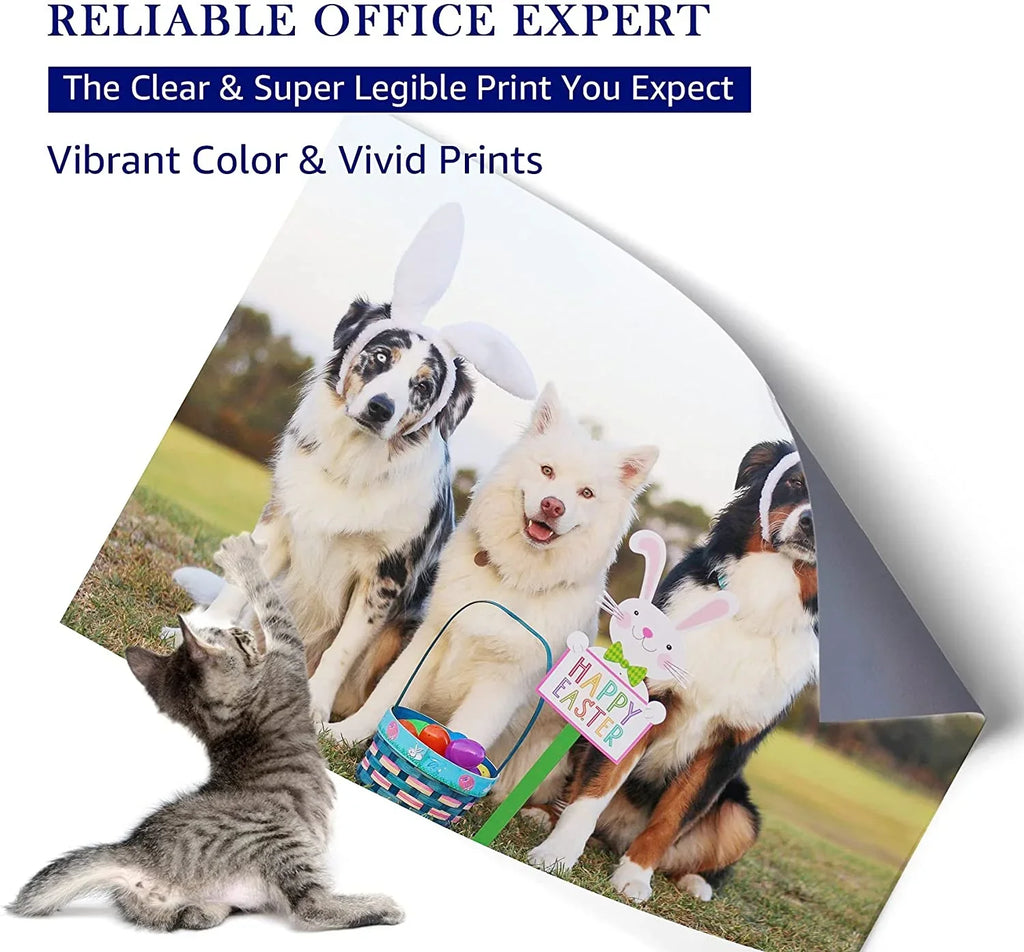Compatible 62XL 62 XL High Yield Ink Cartridge Replacement for HP Envy 5540 5660 7645 5642 5542 5640 7644 8000 OfficeJet 200 250 5740 200 5745 Printer