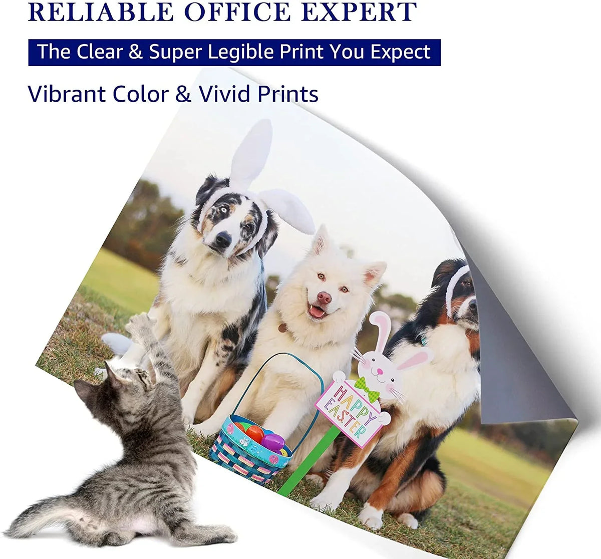 Compatible 62XL 62 XL High Yield Ink Cartridge Replacement for HP Envy 5540 5660 7645 5642 5542 5640 7644 8000 OfficeJet 200 250 5740 200 5745 Printer
