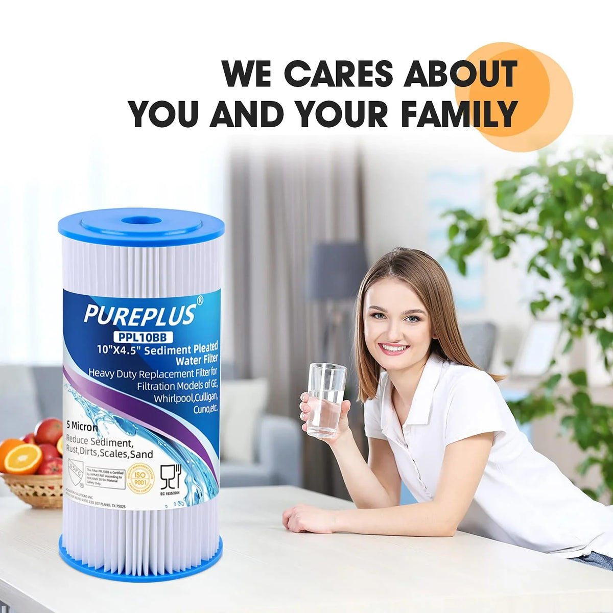 PUREPLUSize 10" x 4.5" Whole House Pleated Sizeediment Filter for Well Water, Replacement Cartridge for GE FXHSizeC, Culligan R50-BBSizeA, Pentek R50-BB, DuPont WFHDC3001, American Plumber W50PEHD, GXWH40L, 3Pack