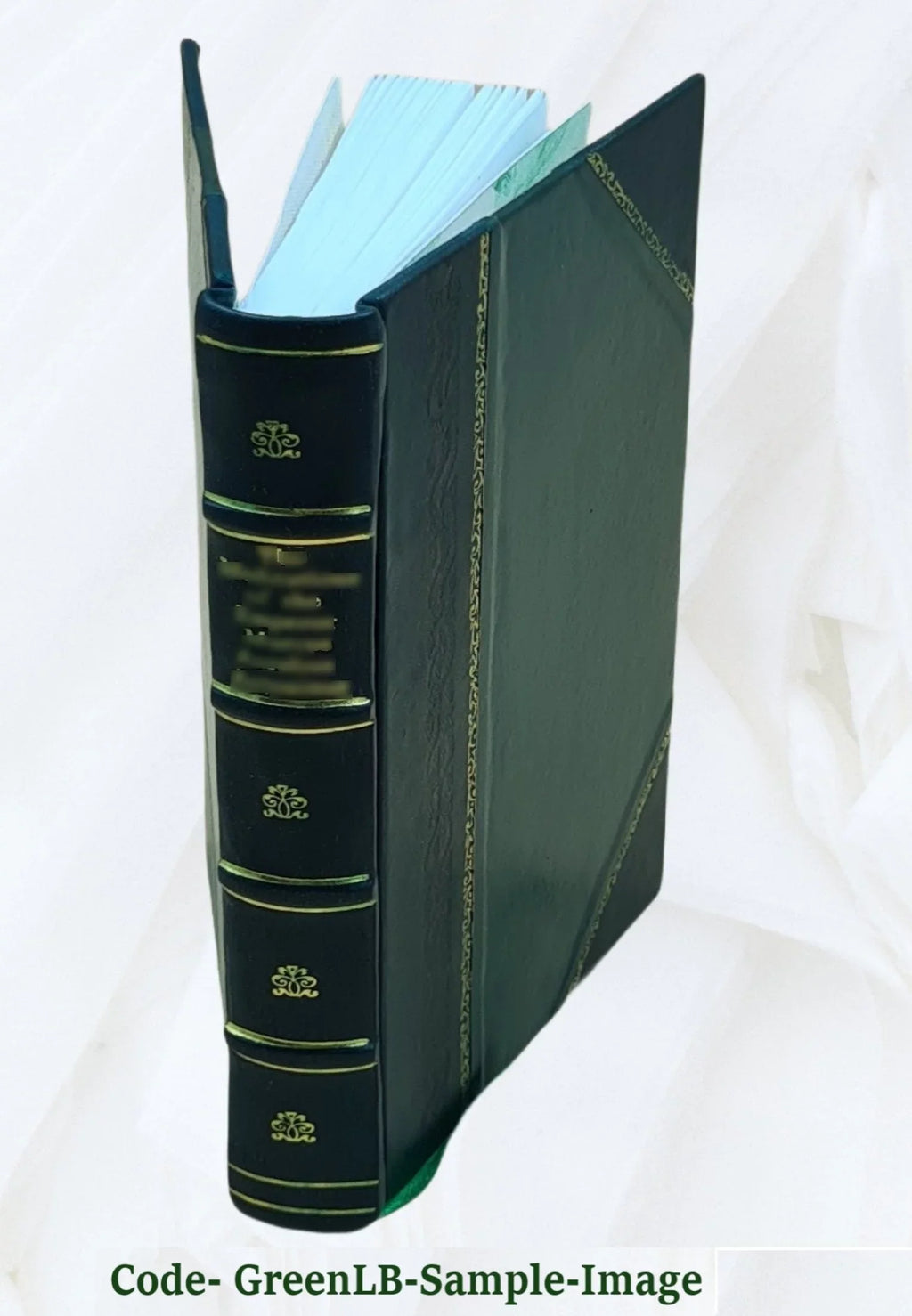 Fairy Gold 1926 [Leather Bound]