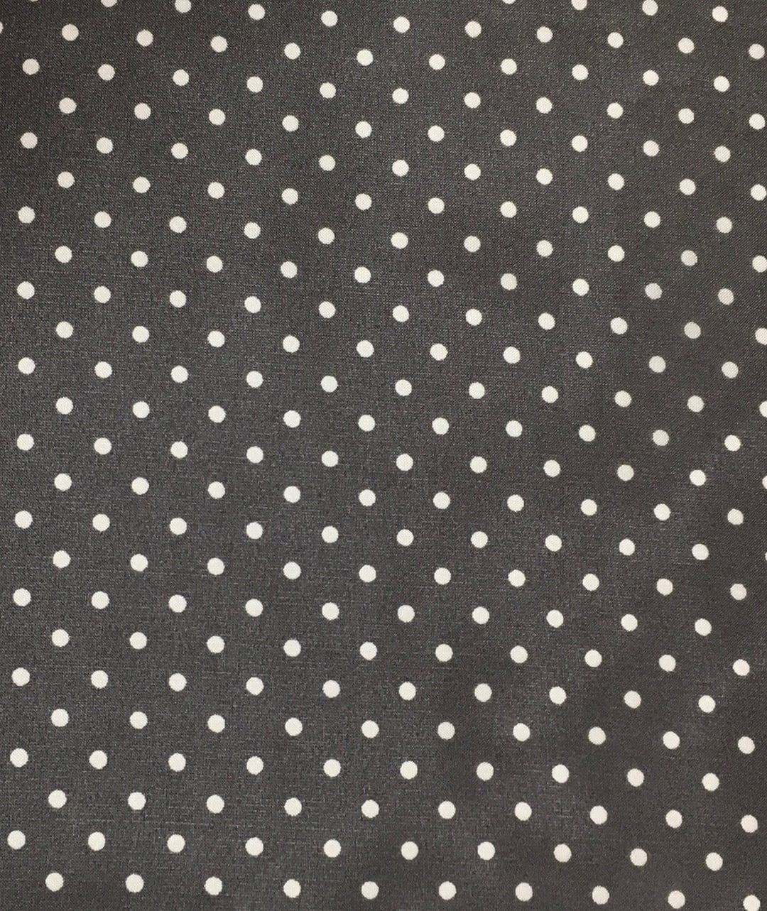 WYOMING TRADERSize Cowboy Polka Dot Charcoal Regular Sizeilk Sizecarf (CC)