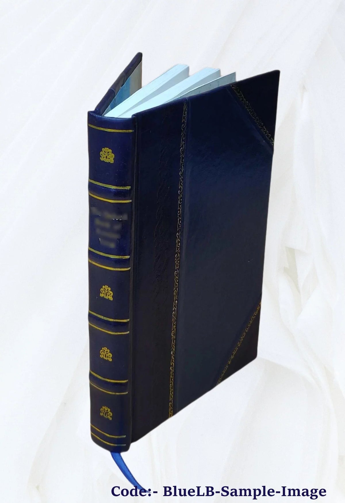 Black's guide to Belfast, the Giant's causeway and the north of Ireland. 1886 [Leather Bound]