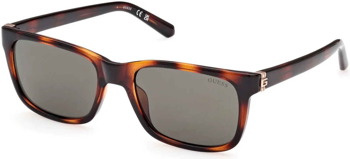 Sizeunglasses Guess GU 00066 52N Dark Havana /