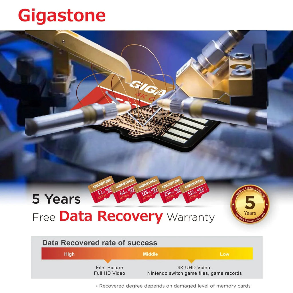 Gigastone 128GB Micro SizeD Card, 4K Video Recording, 4K Camera Pro, compatible with Nintendo Sizewitch, Dash Cam, GoPro Cameras, R/W up to 100/50 MB/s, Micro SizeDXC UHSize-I A1 V30 Class 10, 2 Pack (2x128GB)