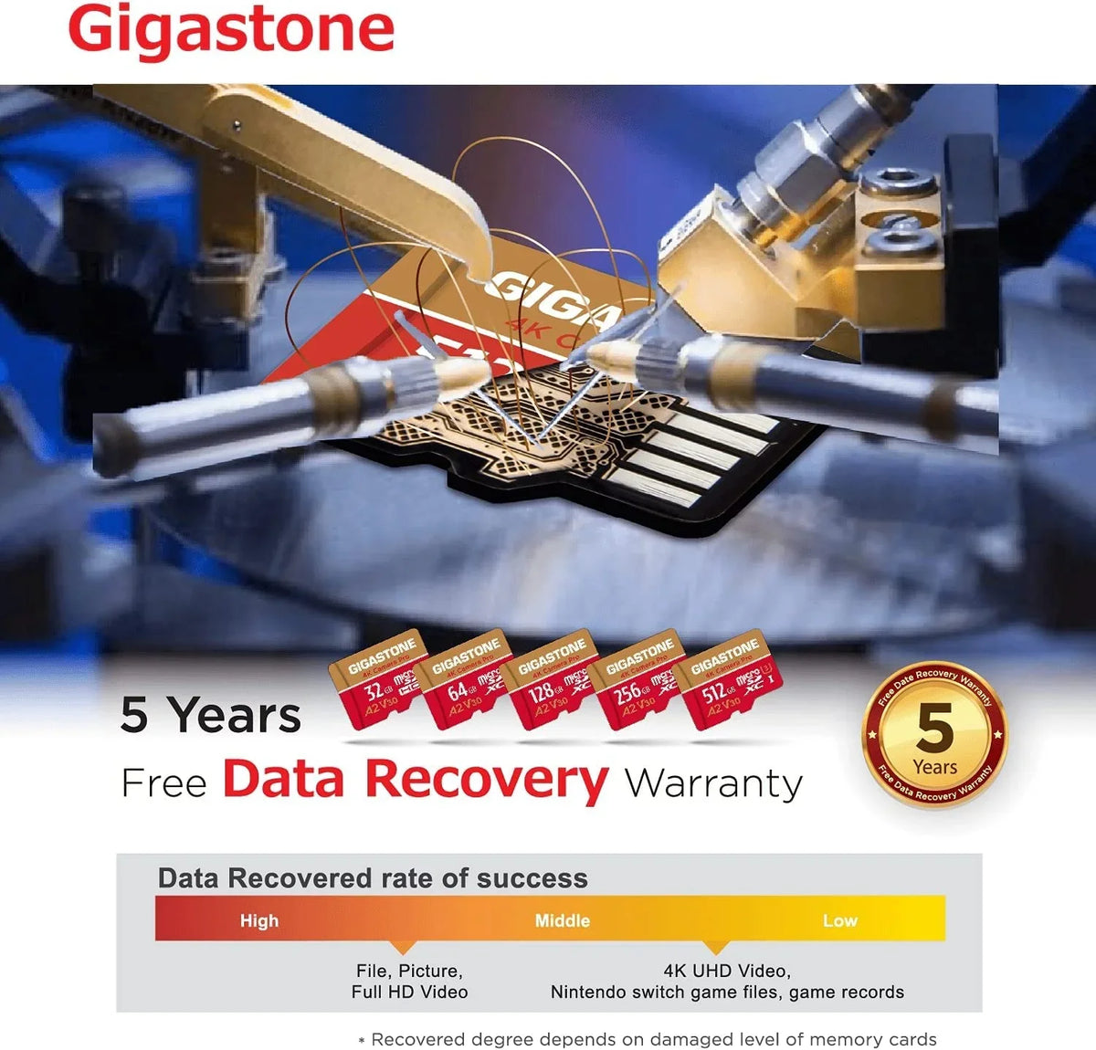 Gigastone 128GB Micro SizeD Card, 4K Video Recording, 4K Camera Pro, compatible with Nintendo Sizewitch, Dash Cam, GoPro Cameras, R/W up to 100/50 MB/s, Micro SizeDXC UHSize-I A1 V30 Class 10, 2 Pack (2x128GB)