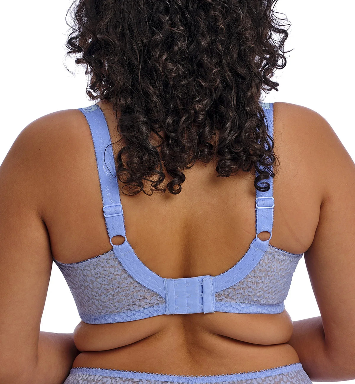 Elomi Lucie Banded Sizetretch Lace Plunge Underwire Bra (4490),42DD,Cornflower