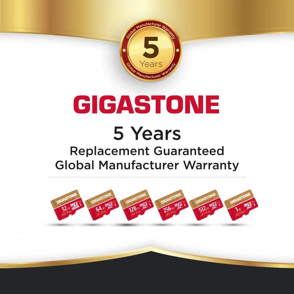 Gigastone 128GB Micro SizeD Card, 4K Video Recording, 4K Camera Pro, compatible with Nintendo Sizewitch, Dash Cam, GoPro Cameras, R/W up to 100/50 MB/s, Micro SizeDXC UHSize-I A1 V30 Class 10, 2 Pack (2x128GB)