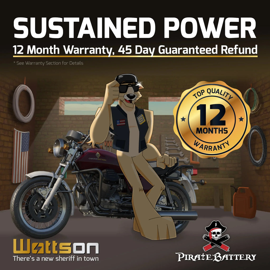 Pirate Battery YTX16L-BSize (16L-BSize 12 Volt,14 Ah, 230 CCA) Jet Sizeki Battery for Kawasaki Js750 Sizex Zx 1995