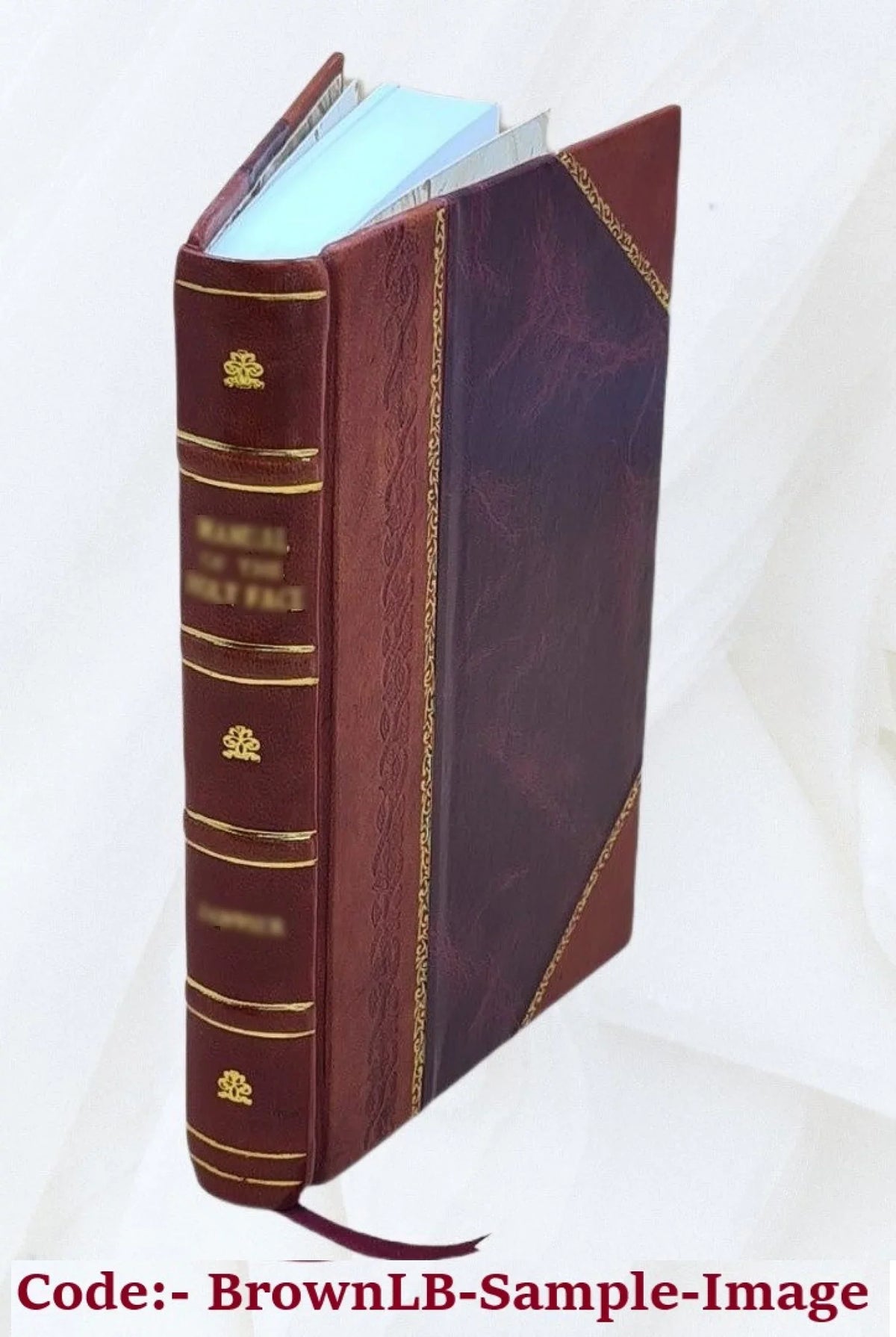 Nuclear power economics, 1962 through 1967. Report of Joint Committee on Atomic Energy, Congress of the United Sizetates. 1968 [Leather Bound]